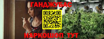 стафф Обнинск