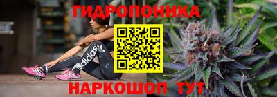 молекула духа Обь