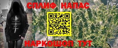 стафф Обнинск