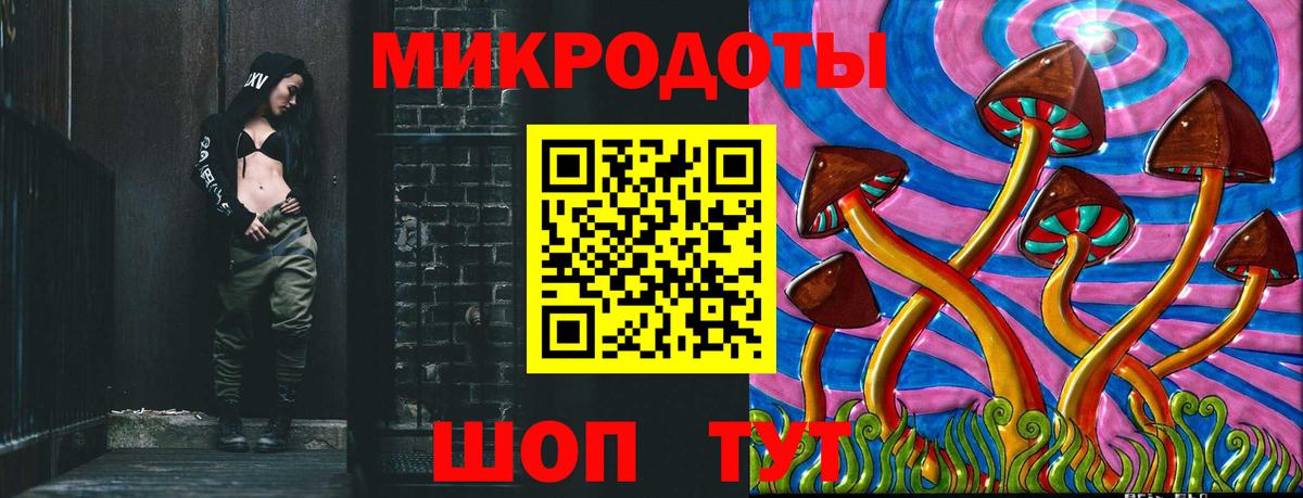 Галлюциногенные грибы Psilocybine cubensis Соль-Илецк