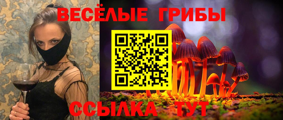Галлюциногенные грибы мухоморы  Вход с VPN  купить наркотики цена  Псилоцибиновые грибы MAGIC MUSHROOMS  Соль-Илецк 